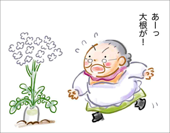 畑に咲く花