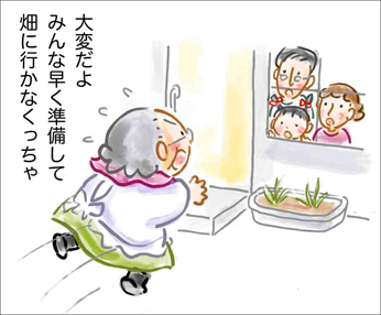 畑に咲く花