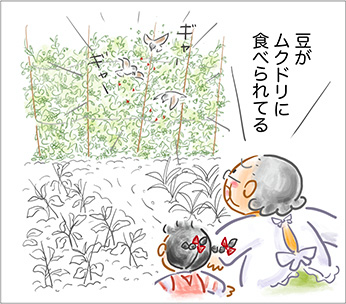 豆の精たち