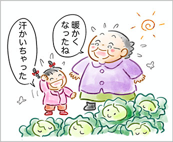 キャベツが脱ぐと