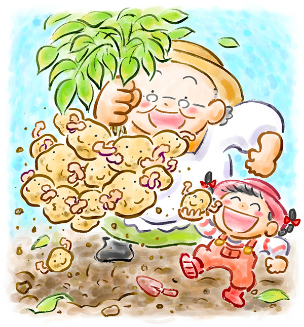 頑張れジャガイモ君・表紙 作／大西ひろみ