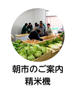 朝市のご案内精米