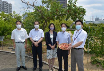 近畿大学に稲田桃を提供、近畿大学奈良病院で入院患者向けの食事に活用