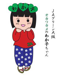 オカワカメのキャラクター「オカワカメのわか子ちゃん」が誕生