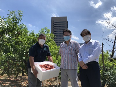 近大稲田桃2022(400px).jpg