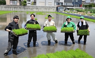 】R070606水稲苗出荷作業HP.JPG