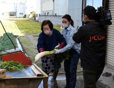 400グリーーン大阪　「おおさか開墾」（ケーブルテレビのコーナー）で都市農業を紹介.JPG
