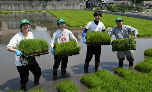 新入職員が育苗出荷作業0613.jpg